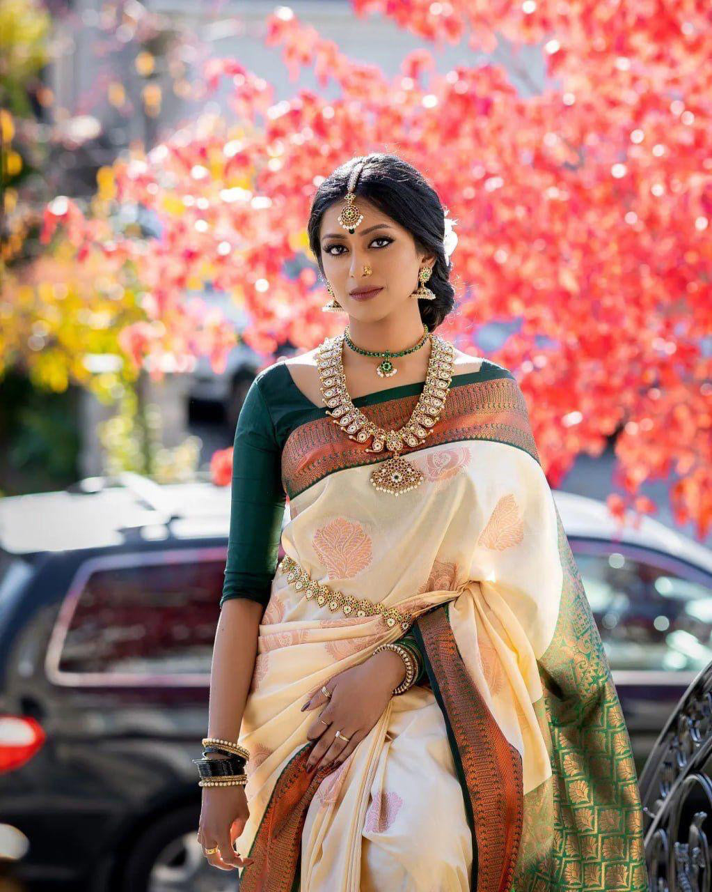 Traditional Motif Zari Silk Saree